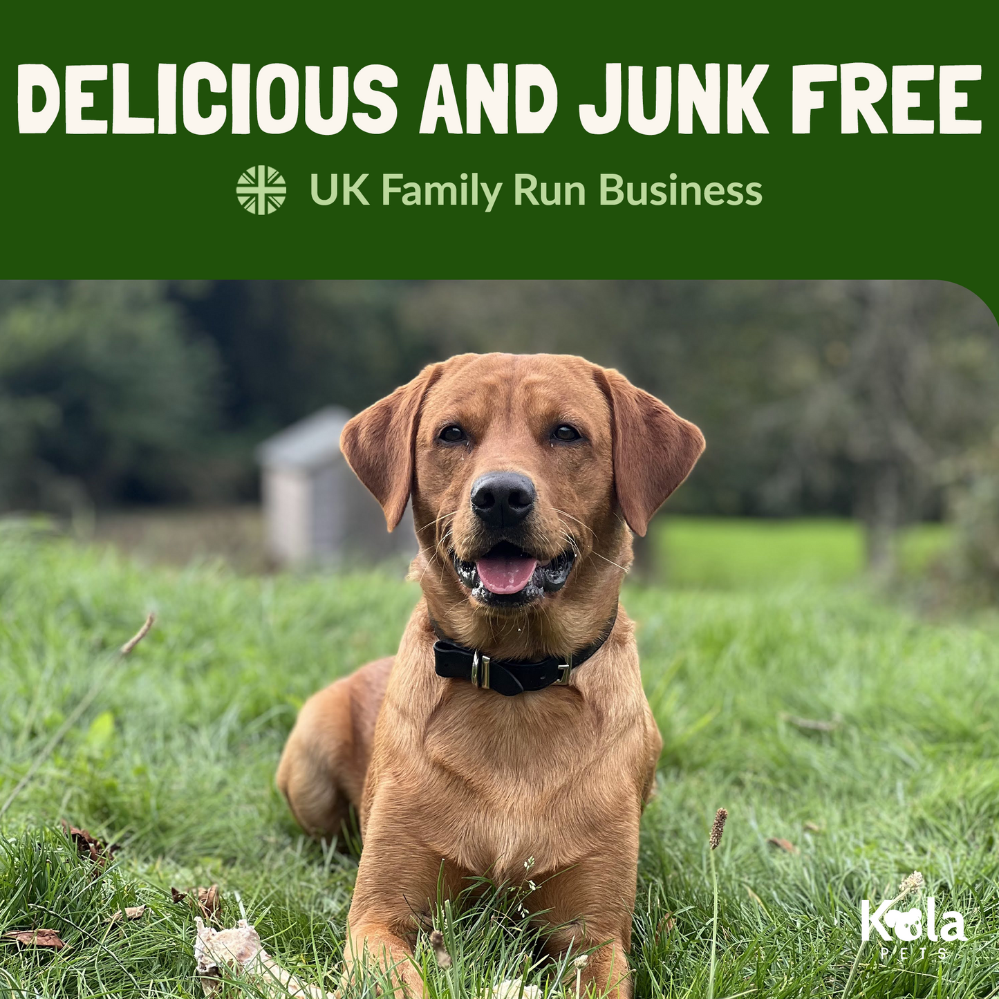 Rabbit Ears With Fur For Dogs - 500g (30-35 Ears)