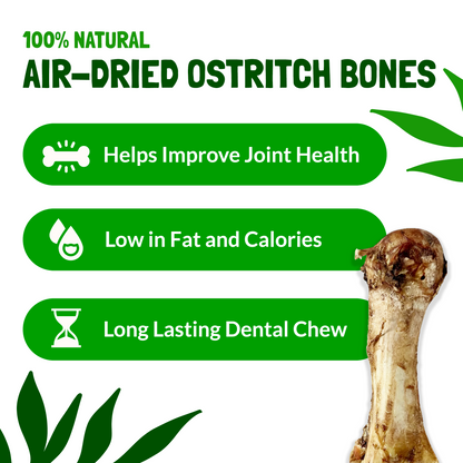 Jumbo Ostrich Bones for Dogs