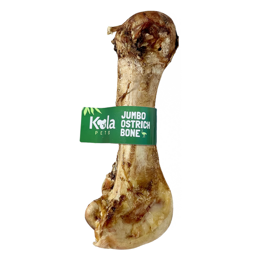 Jumbo Ostrich Bones for Dogs