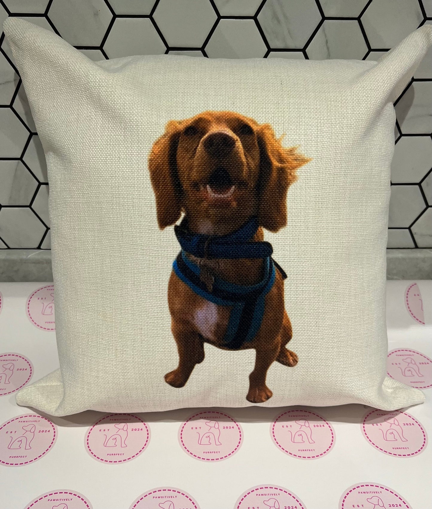 Personalised Pet Cushions