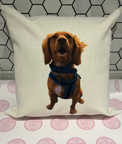 Personalised Pet Cushions