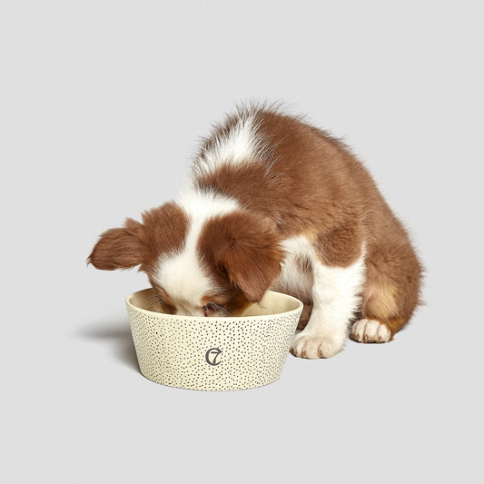 Cloud7 Ceramic Dog Bowl