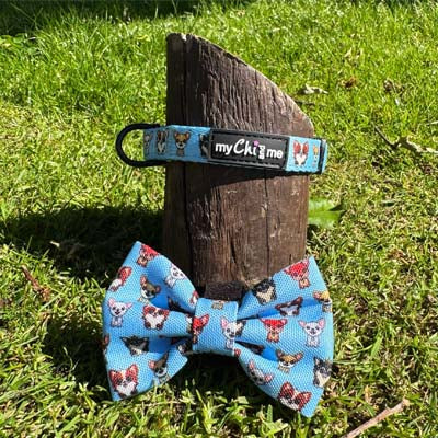 Bow Tie - Blue Chihuahua Print