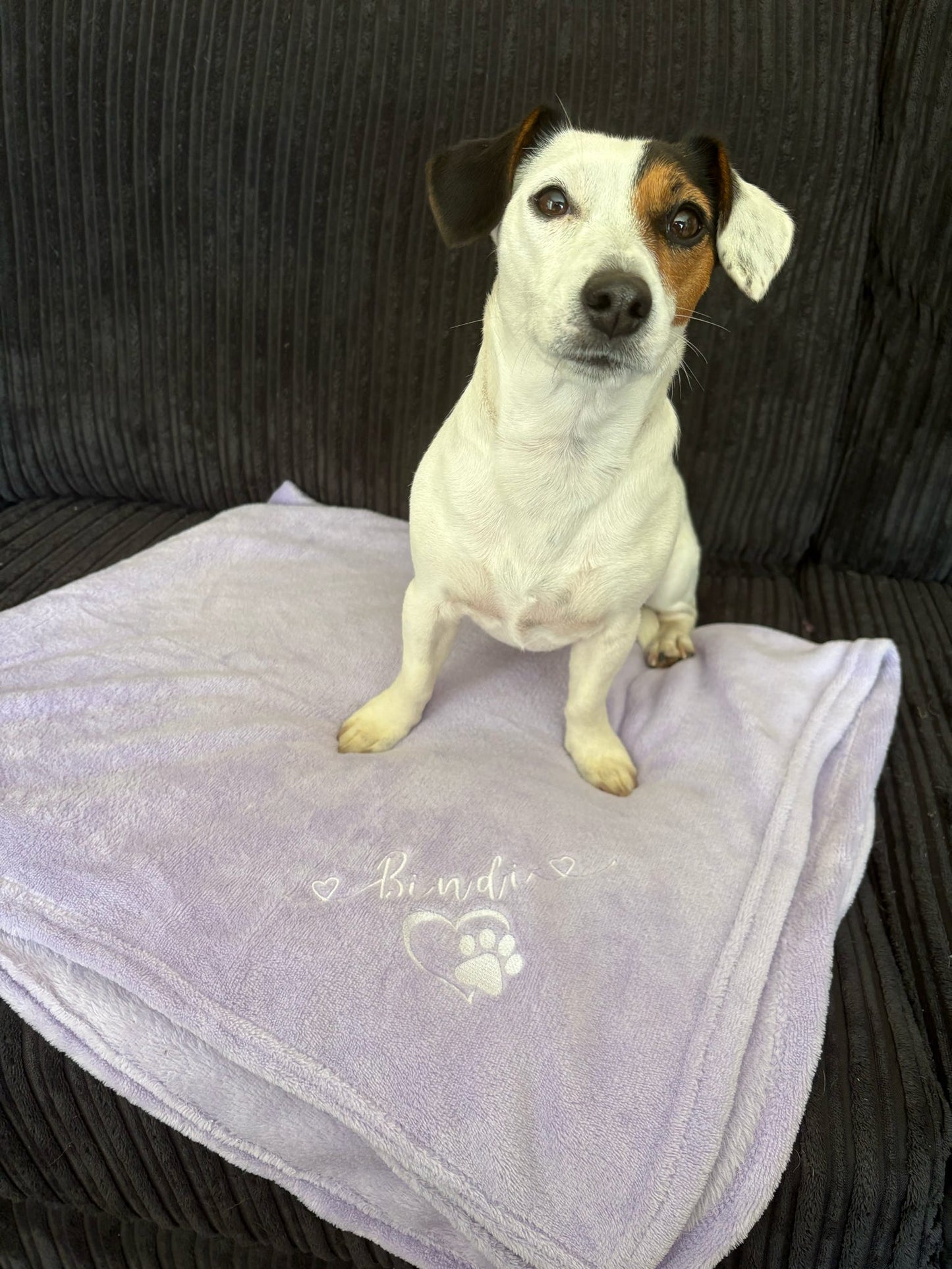 Small Personalised Pet Blankets - Embroidered