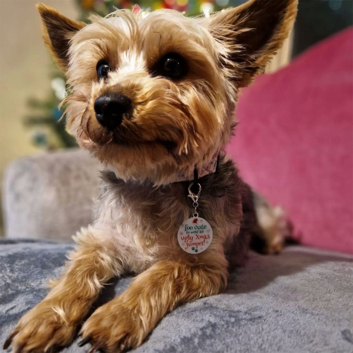 Christmas dog tag with lobster claw clasp