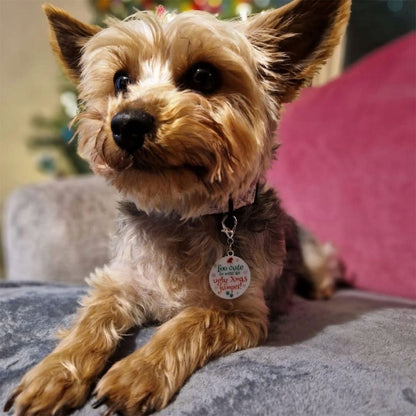 Christmas dog tag with lobster claw clasp