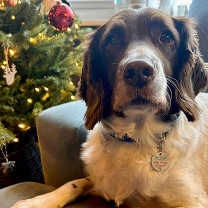Festive keepsake dog tag close up