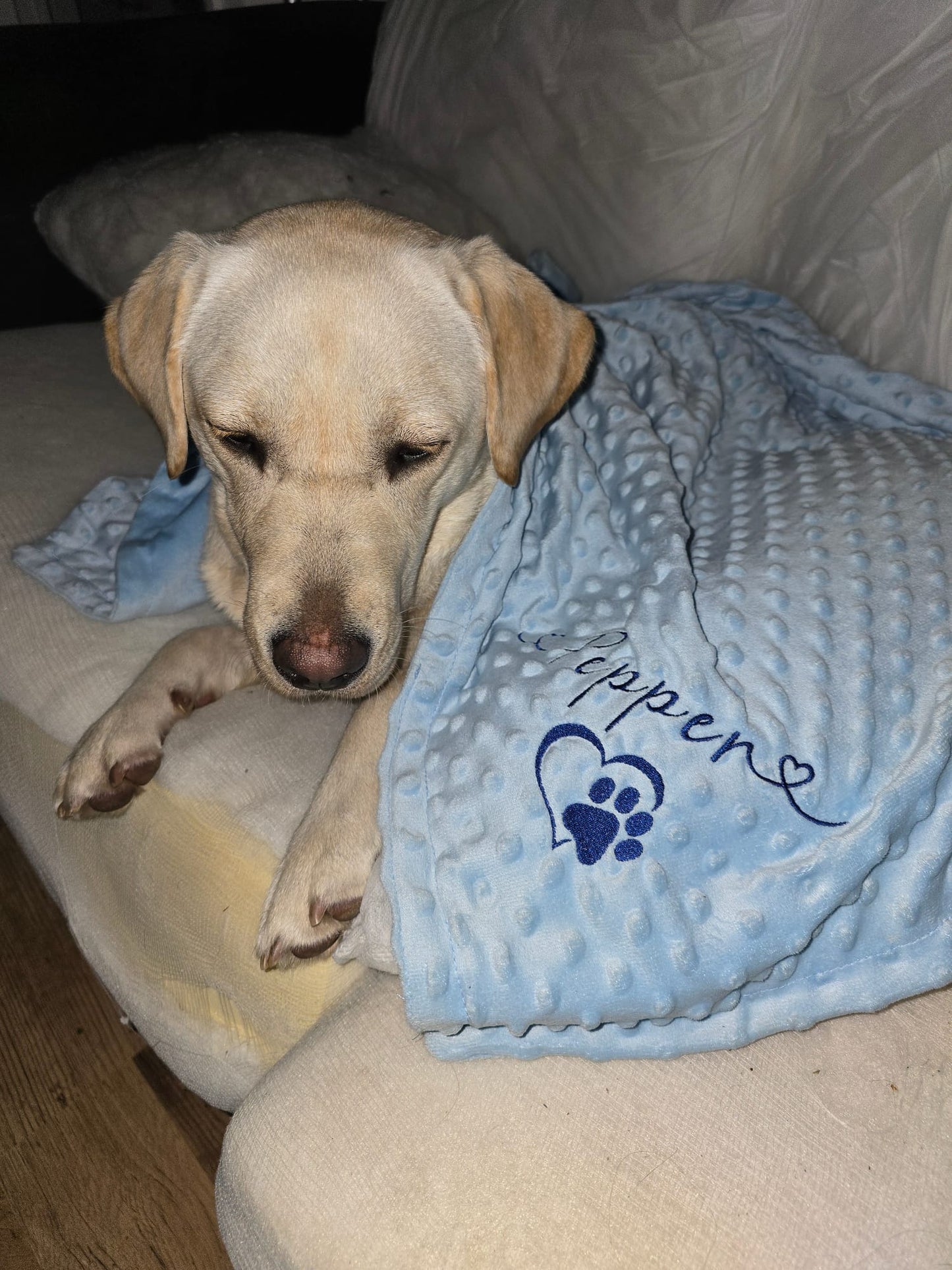 Large Personalised Pet Blankets - Embroidered