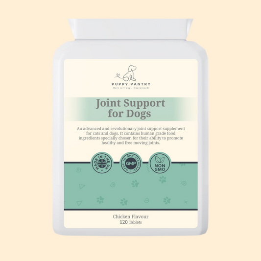 Puppy Pantry Joint Support Tablets for Dogs, chicken flavour, white 120 tablet bottle shown front on