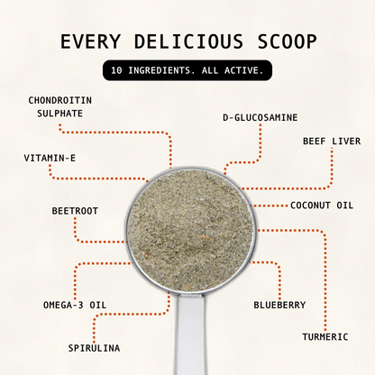 Scoop of green All Rounder powder with the ingredients labelled