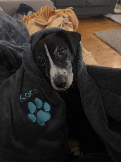 Small Personalised Pet Blankets - Embroidered