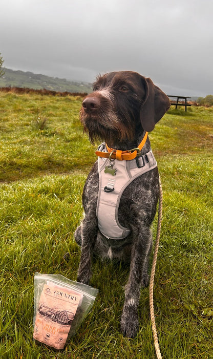 Country Barn - Chicken, Duck & Turkey Treats