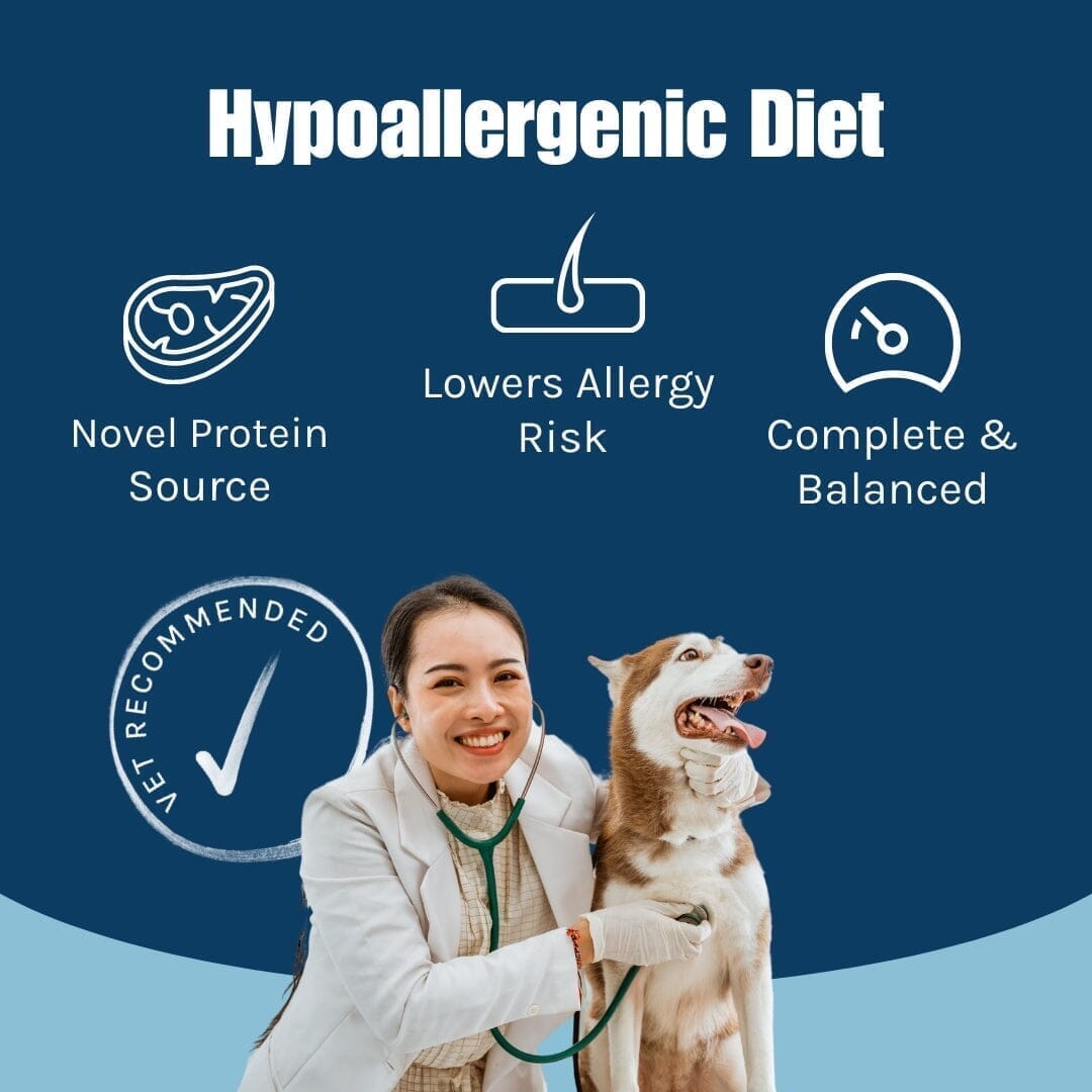 Salmon wet dog food rich in omega oils for skin and coat