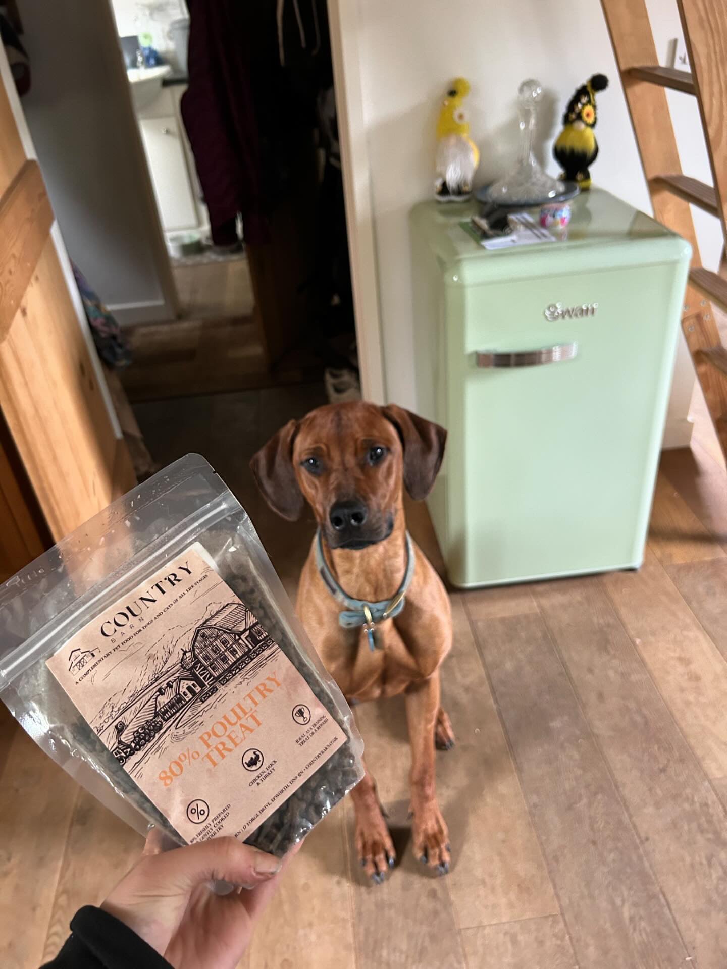 Country Barn - Chicken, Duck & Turkey Treats