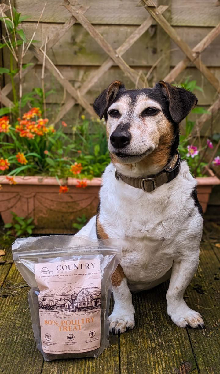 Country Barn - Chicken, Duck & Turkey Treats