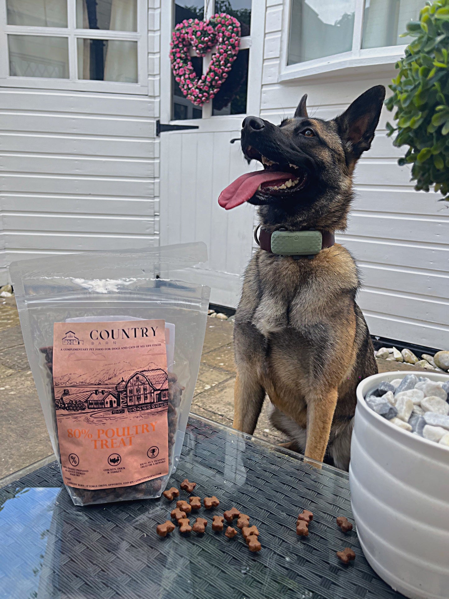 Country Barn - Chicken, Duck & Turkey Treats