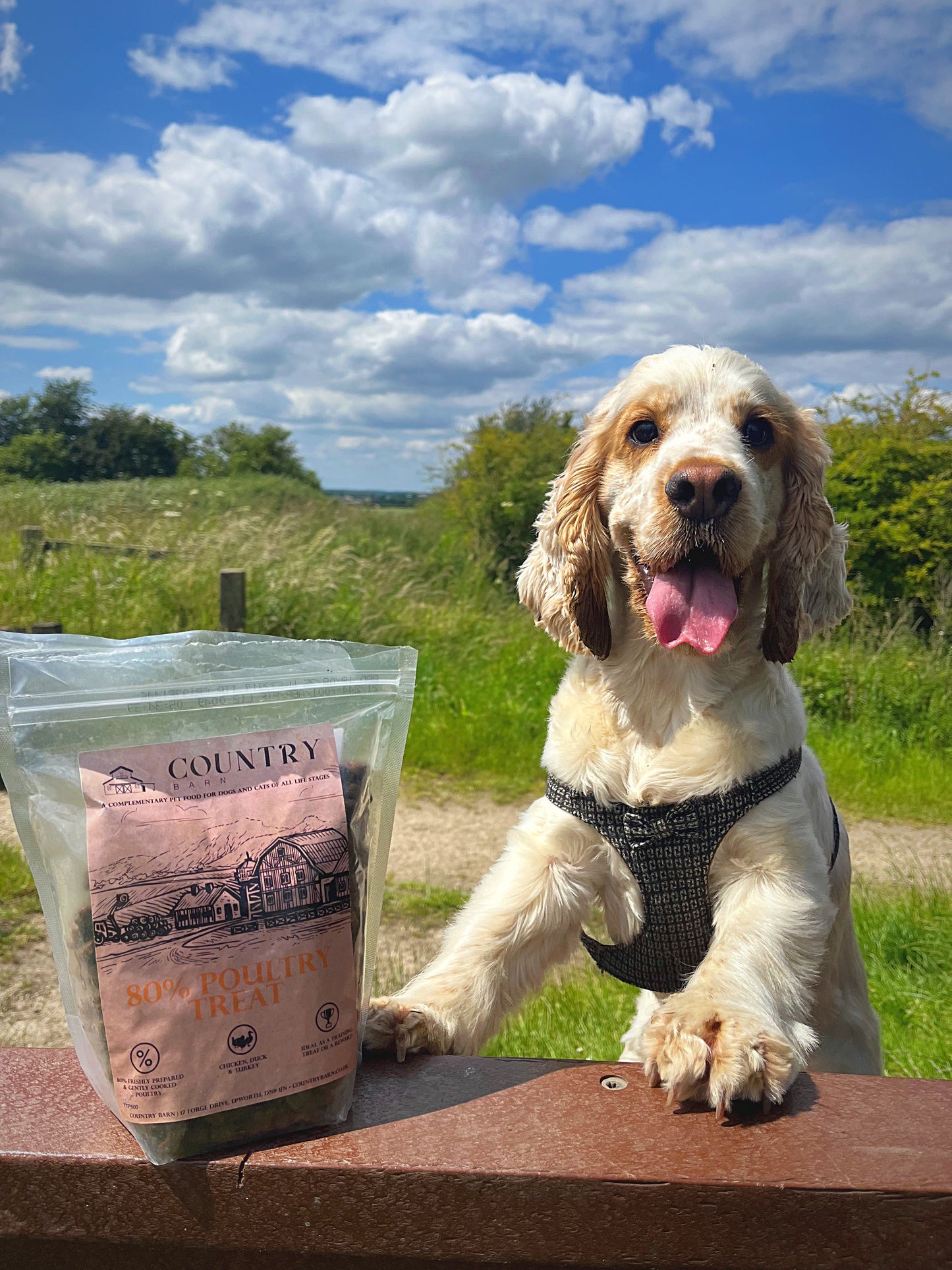 Country Barn - Chicken, Duck & Turkey Treats