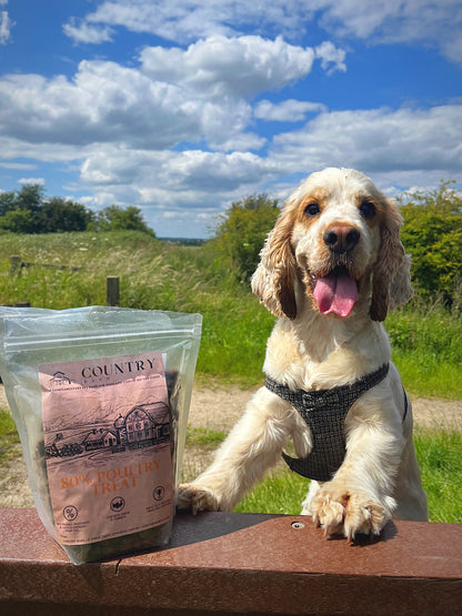 Country Barn - Chicken, Duck & Turkey Treats