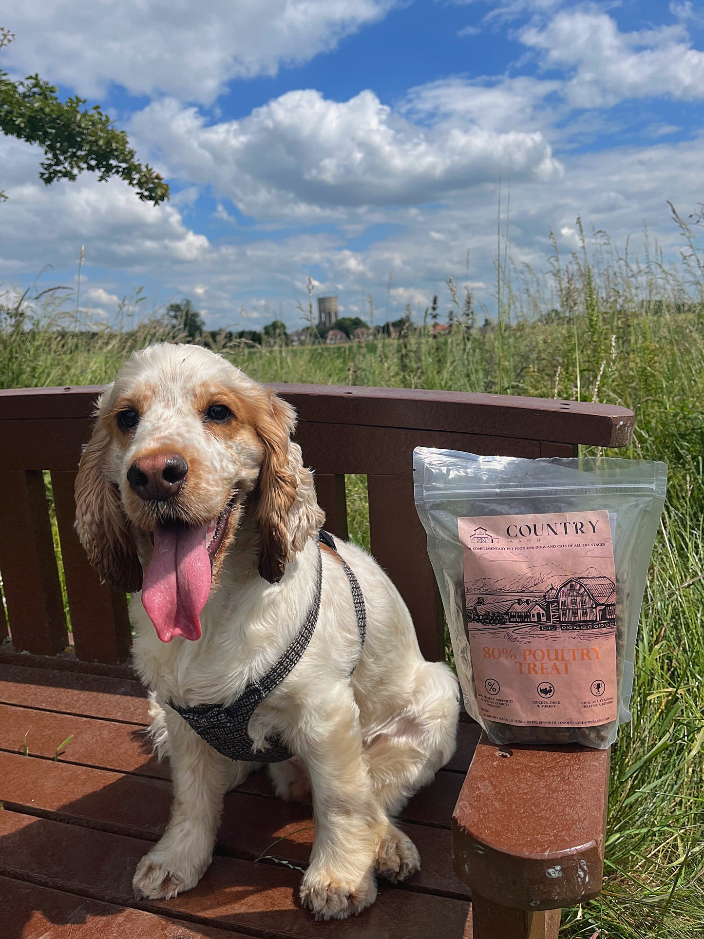 Country Barn - Chicken, Duck & Turkey Treats