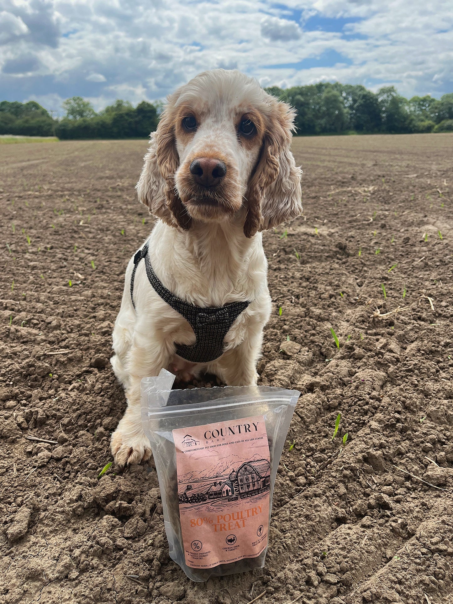 Country Barn - Chicken, Duck & Turkey Treats