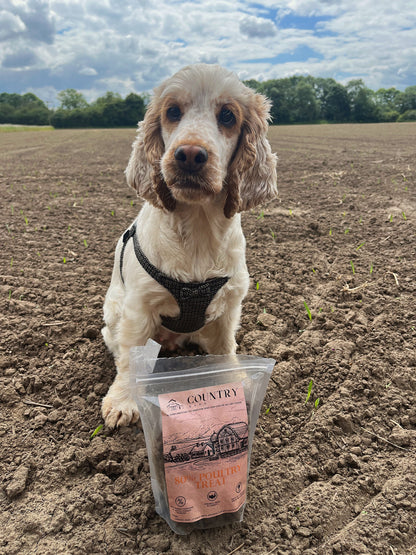 Country Barn - Chicken, Duck & Turkey Treats
