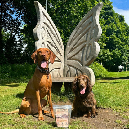 Country Barn - Chicken, Duck & Turkey Treats