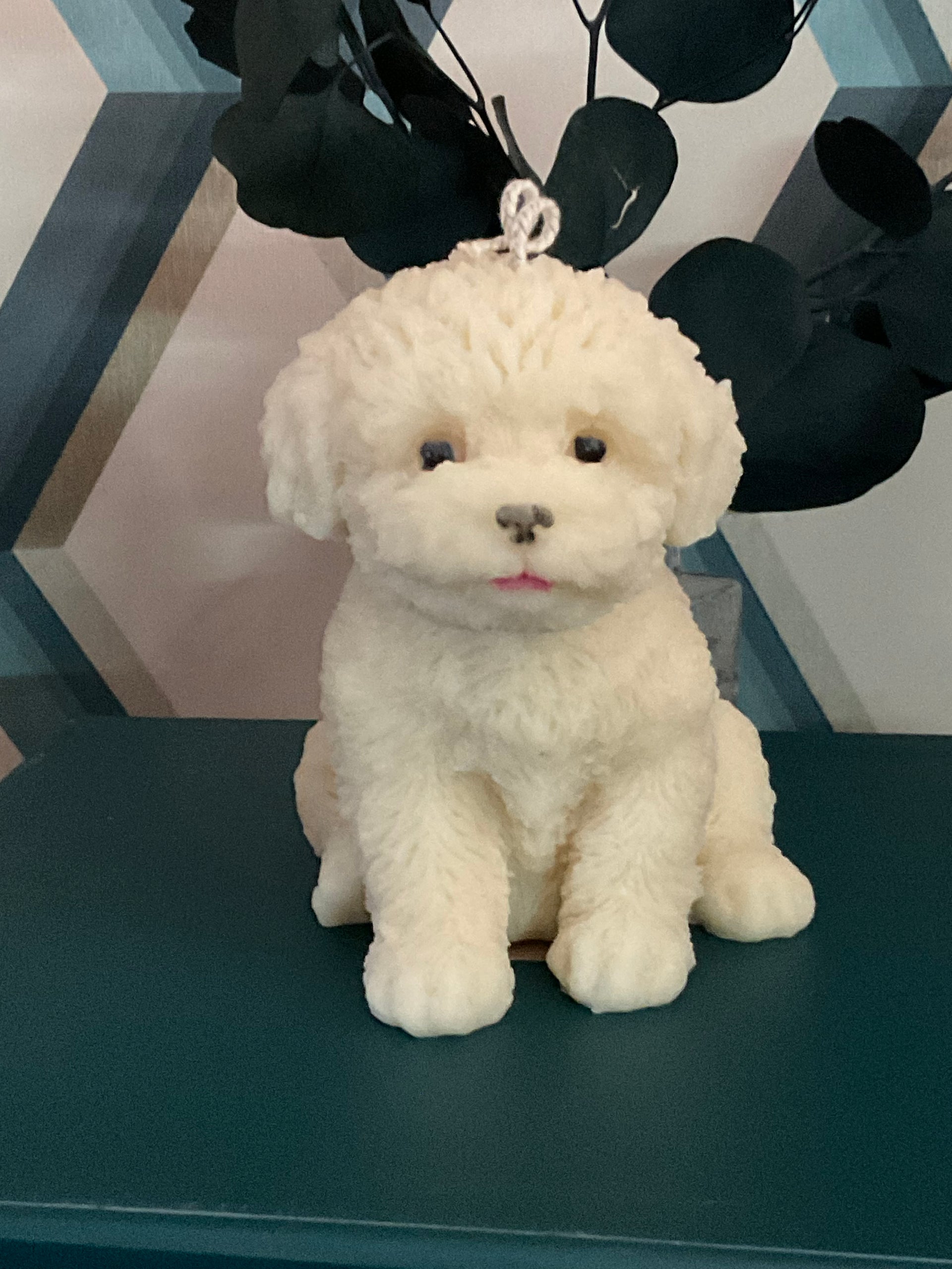 Mini Toy Perro Parece Peluche Perros Que Parecen Osos Perro