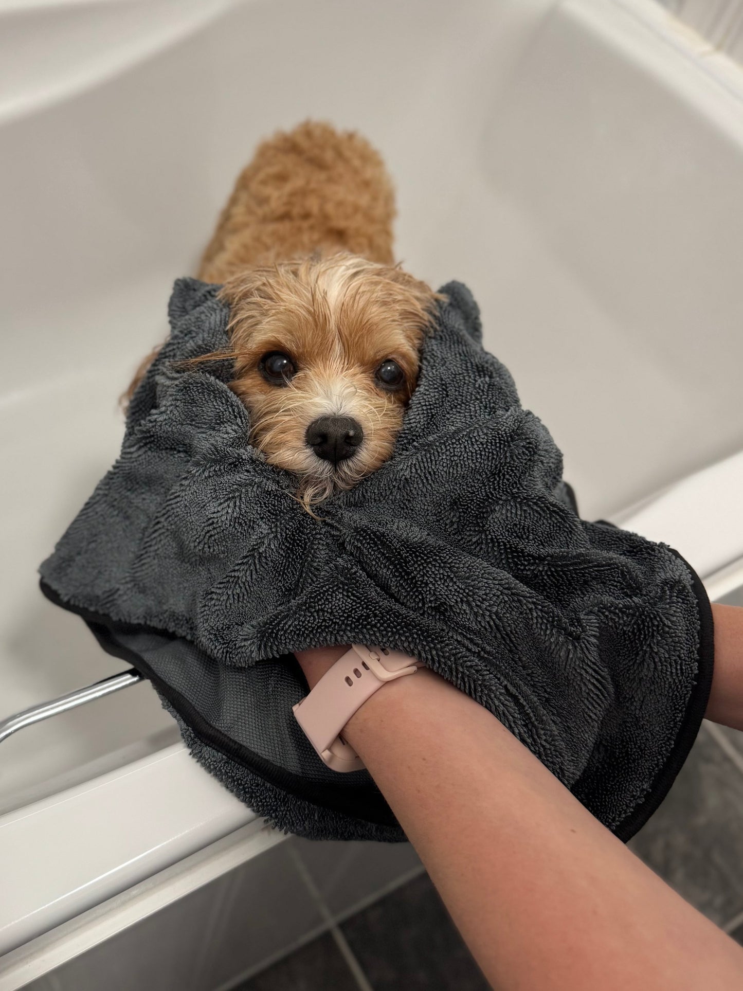 Small curly coated dog wrapped in the charcoal grey microfibre drying towel in a bath, with a hand inside the towel's soft pocket