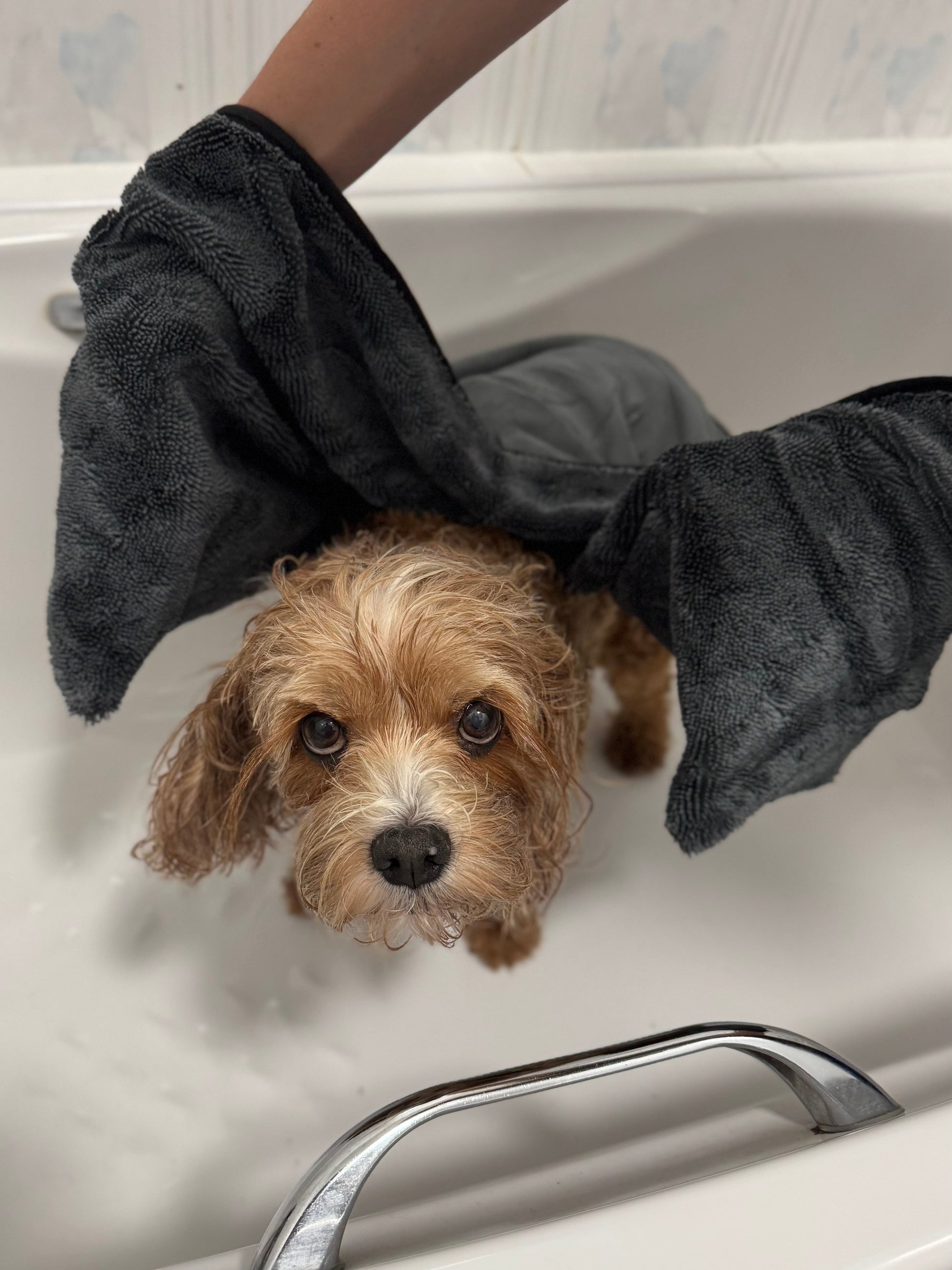 Damp curly coated dog being dried in the bath with the microfibre loop towel held using the built in hand pockets