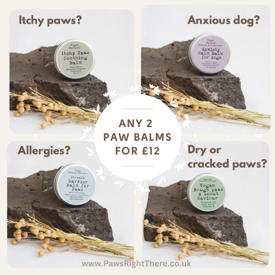 CALM & CARE Paw Balm For Dogs