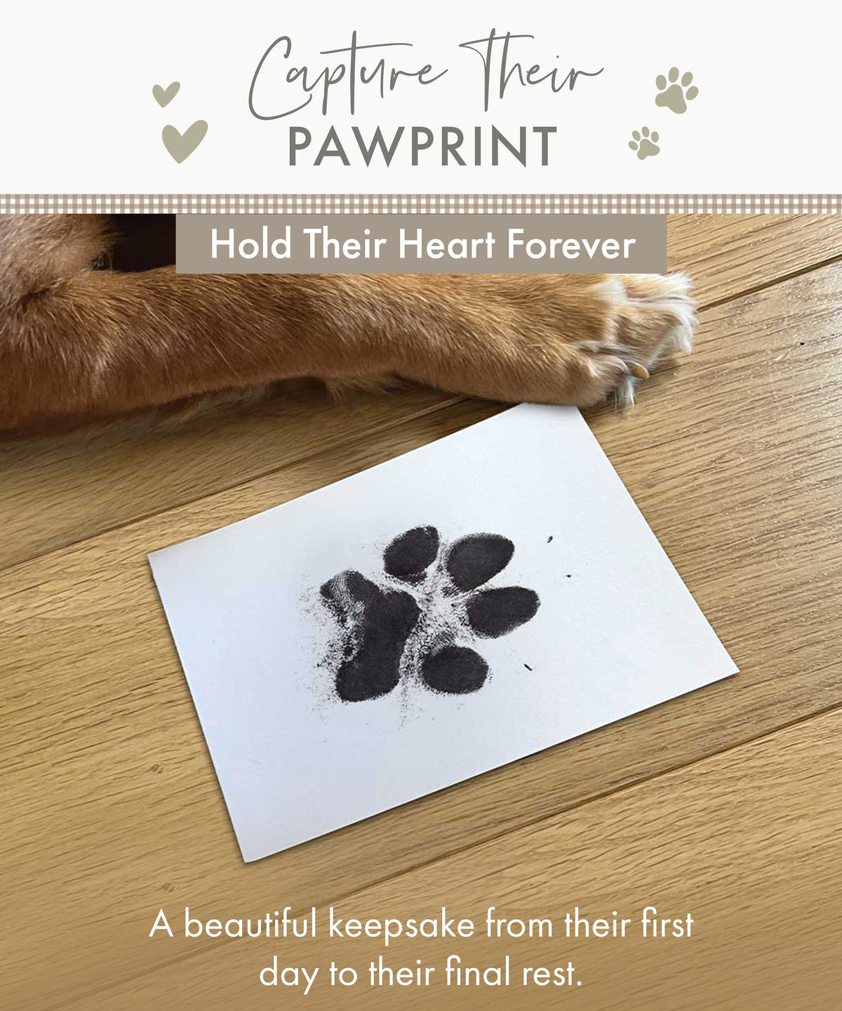 Paw print transferred onto the A5 card from the ink kit
