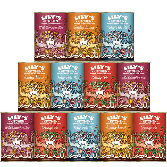 Lily's Kitchen - Multipack de comida húmeda para perros sin cereales (12 x 400 g)
