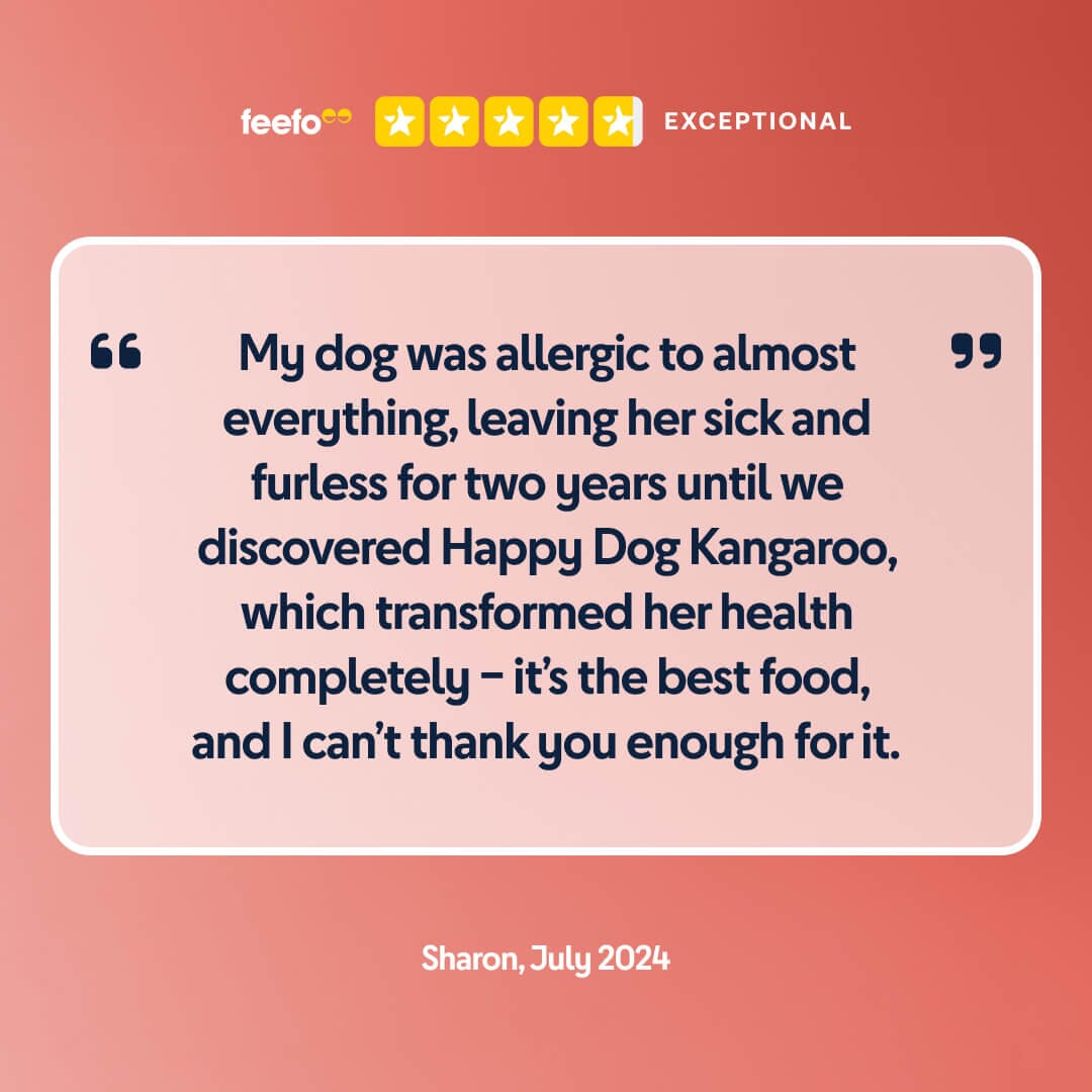 Kangaroo wet dog food served in a bowl