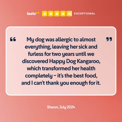 Kangaroo wet dog food served in a bowl
