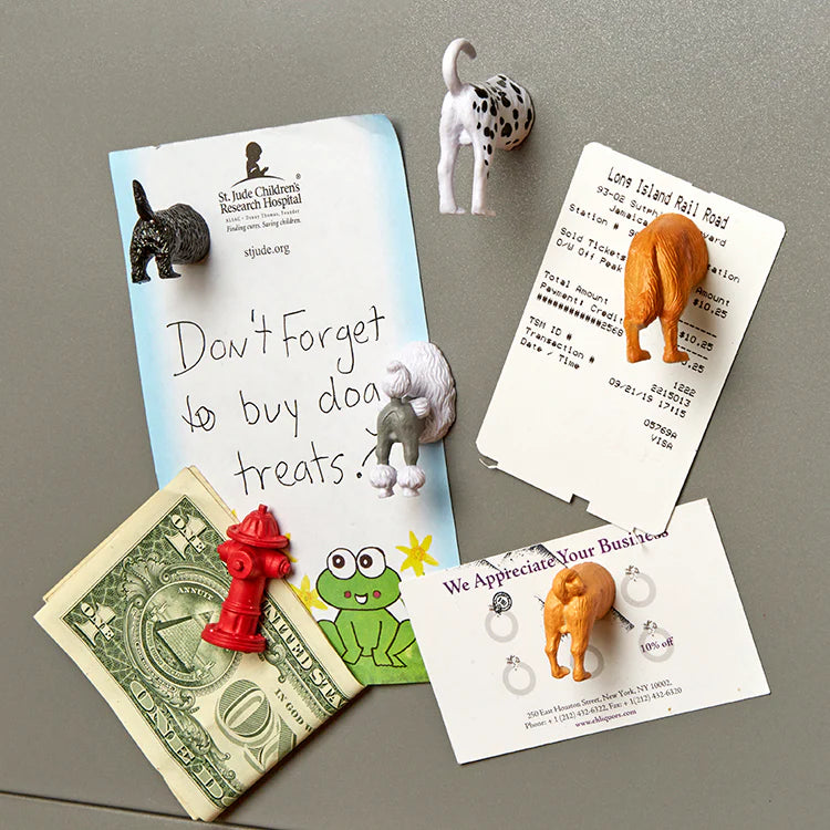 Kikkerland dog-bottom fridge magnets – boxed novelty gift | Duke & Milo