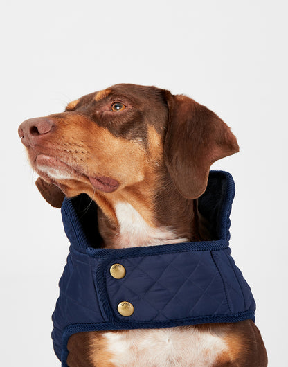 Joules - Quilted Dog Coat