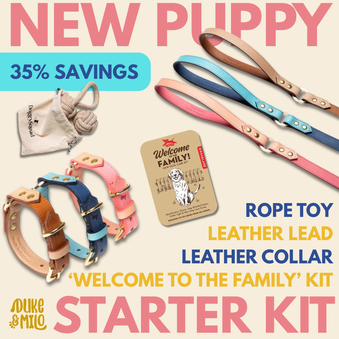 Duke & Milo New Puppy Starter Kit with Italian leather collar, lead, rope toy set and welcome gift kit