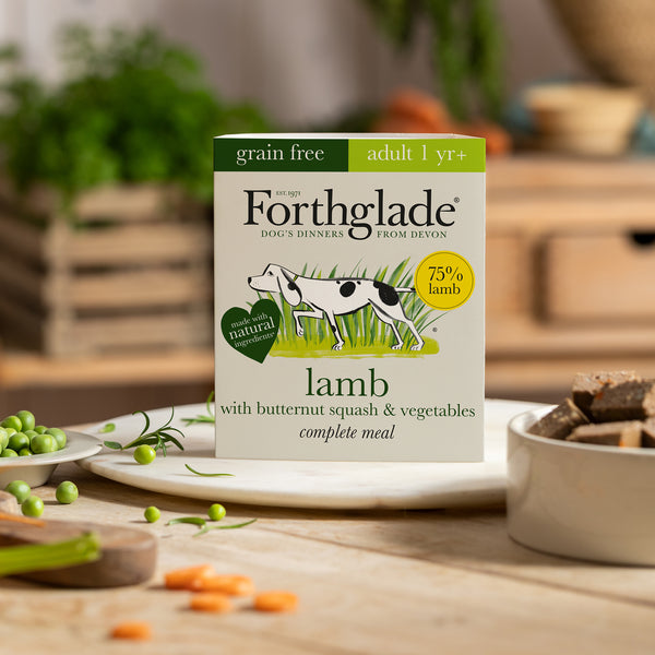 Forthglade - Grain Free Lamb with Butternut Squash & Vegetables - Wet Dog Food