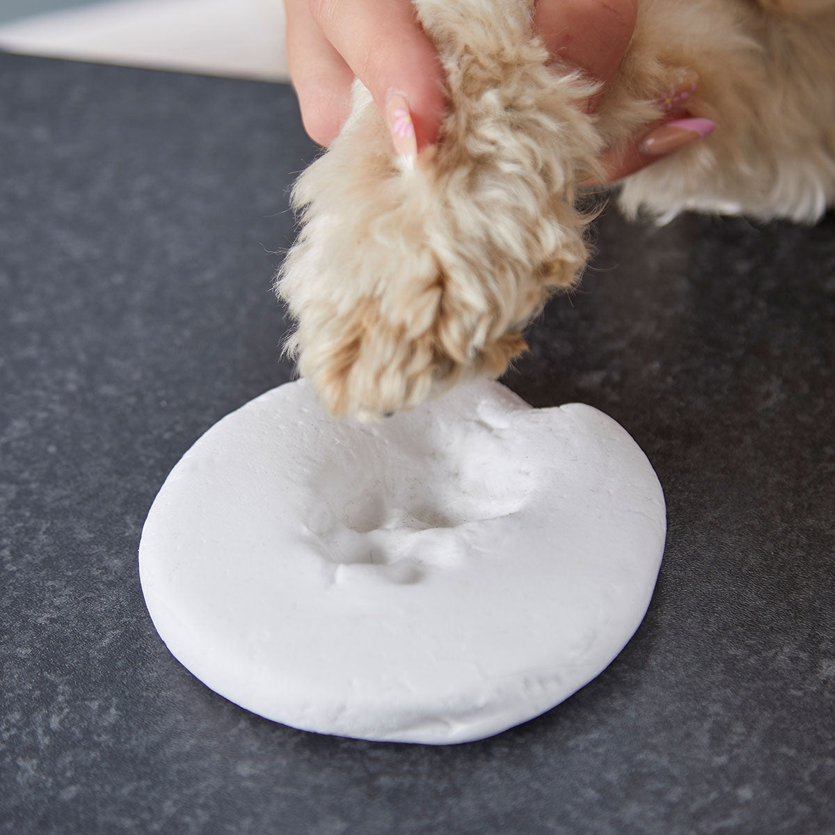100g white air dry clay in a resealable bag