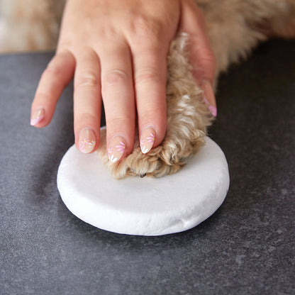 Rolling out the air dry clay before taking a paw print