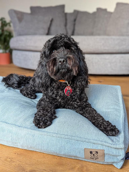 Pet Wiz padded dog bed in blue, available at Duke & Milo
