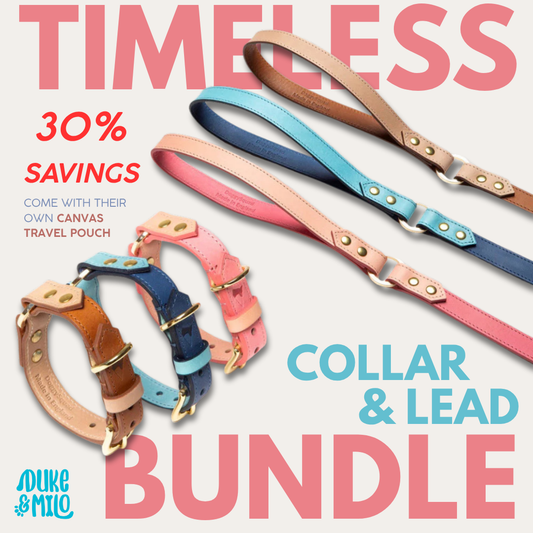 Timeless Collar and Lead Bundle (1x EACH)
