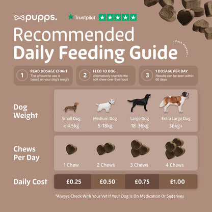 Pre & Probiotic Treats