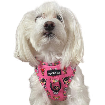 Small Dog Harness - Signature Pink Chihuahua Print