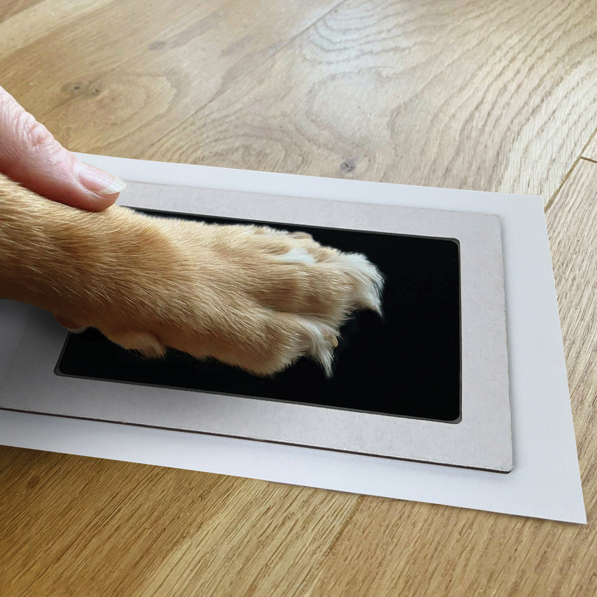 Large dog paw print ink kit, 9.8cm by 14.8cm ink area