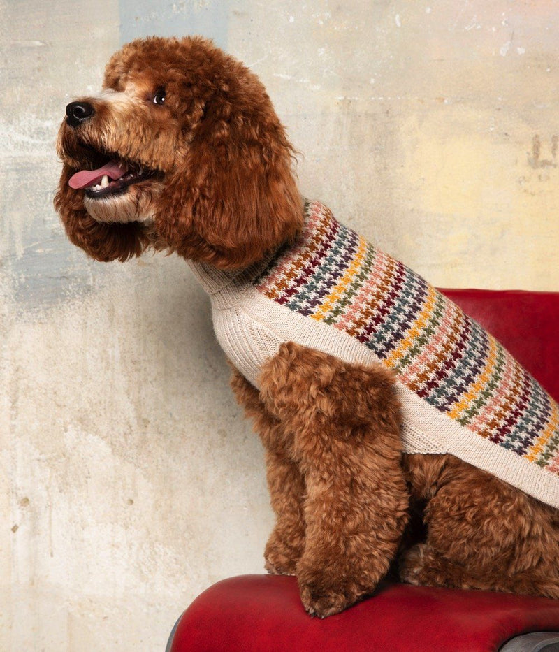 Artesana Dog Jumper