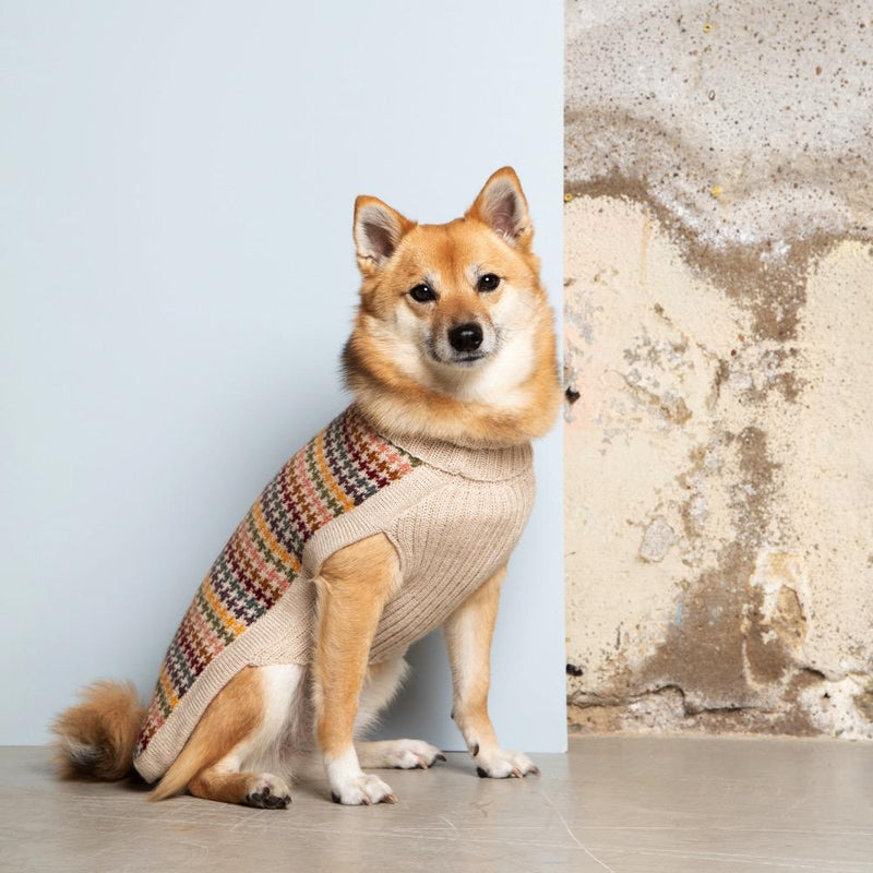 Artesana Dog Jumper