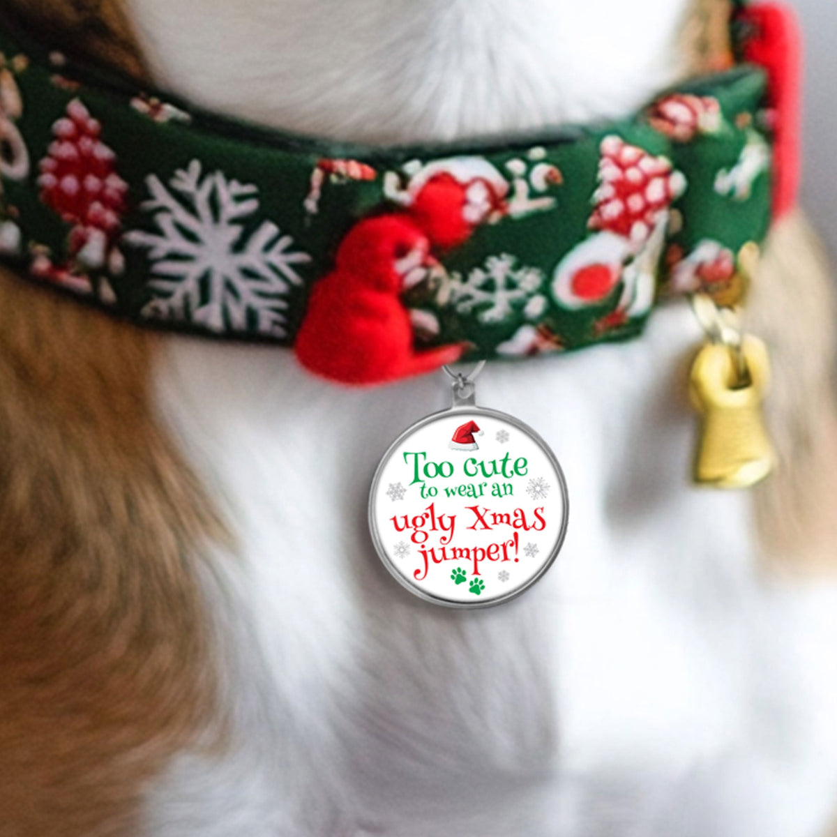 Christmas keepsake dog tag on a festive dog collar