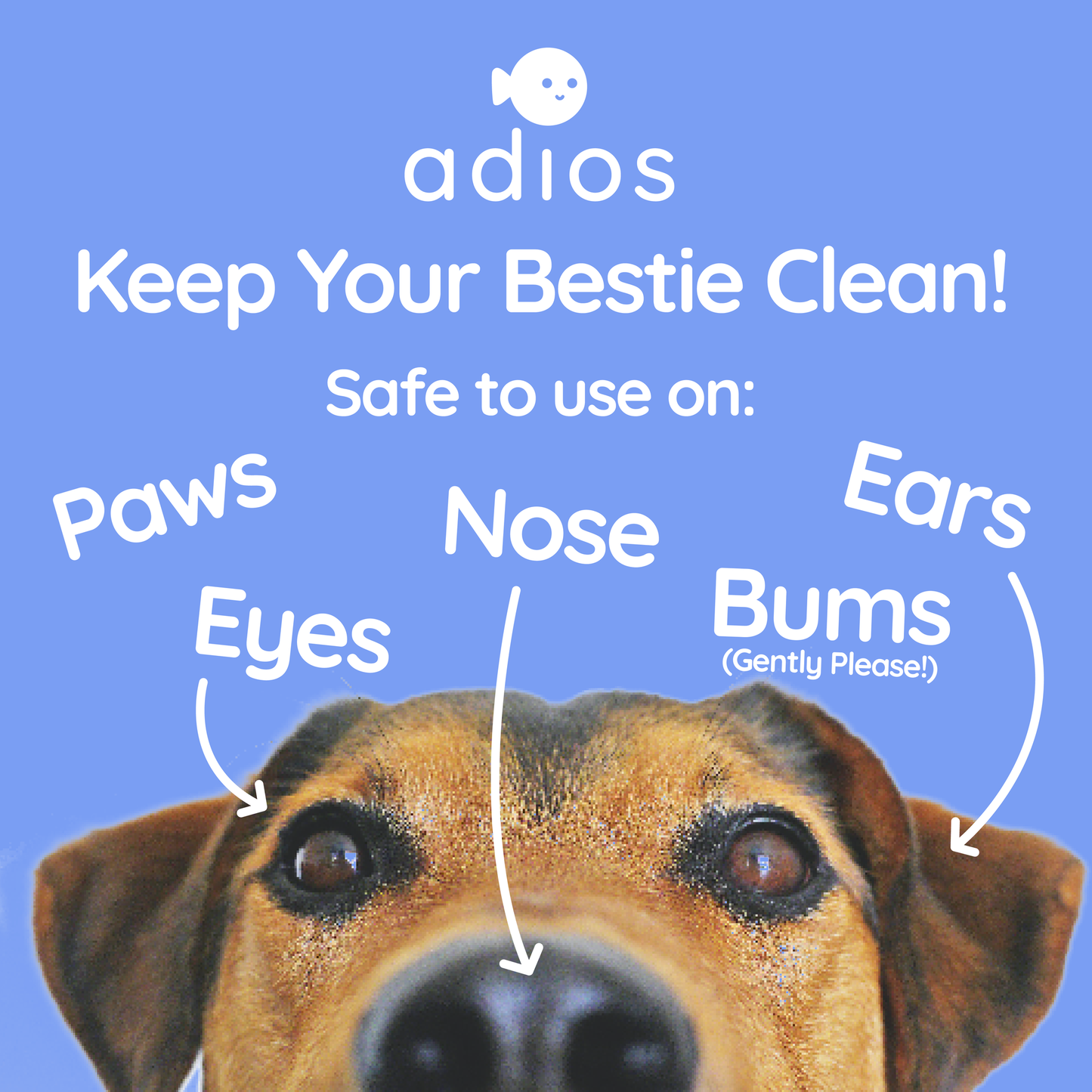 Adios Plastic - 🌱 Compostable Pet Wipes 🐶🐾