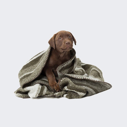 Evergreen Dog Blanket